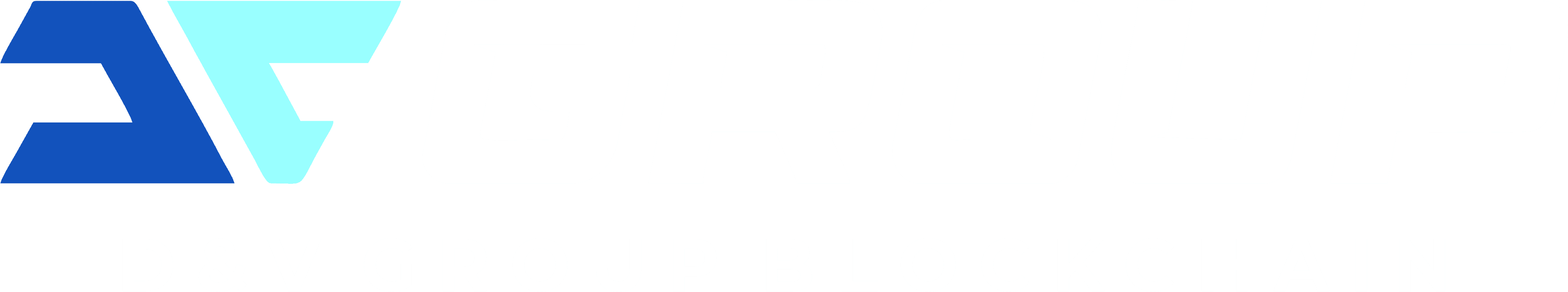 D&V GROUP BLOCKCHAIN